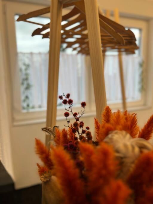 Boho Apartment Mit Aussicht Auf Gartenoase Naehe Duesseldorf Krefeld Luaran gambar